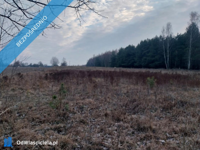 Grunt Rolny na sprzedaż Marysin gm Kałuszyn  - Marysin  -
mazowieckie Zdjęcie nr 3