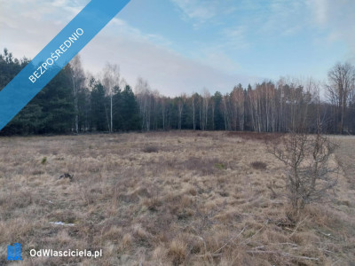 Grunt Rolny na sprzedaż Marysin gm Kałuszyn  - Marysin  -
mazowieckie Zdjęcie nr 4