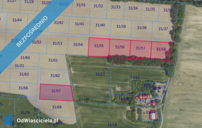 Działki 3155 i inne w miejscowości Grabowno Wielkie - Grabowno Wielkie  - dolnośląskie
