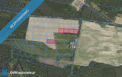 Działki 3155 i inne w miejscowości Grabowno Wielkie - Grabowno Wielkie  -
dolnośląskie Zdjęcie nr 2