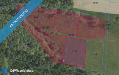 Działki 3180 i inne w miejscowości Grabowno Wielkie - Grabowno Wielkie  - dolnośląskie