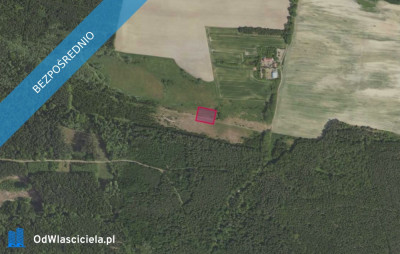 Działka 3192 w miejscowości Grabowno Wielkie - Grabowno Wielkie  -
dolnośląskie Zdjęcie nr 2