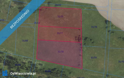 Działki 3175 3177 i 3178 w miejscowości Grabowno Wielkie - Grabowno Wielkie  - dolnośląskie