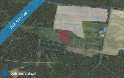 Działki 3175 3177 i 3178 w miejscowości Grabowno Wielkie - Grabowno Wielkie  -
dolnośląskie Zdjęcie nr 2