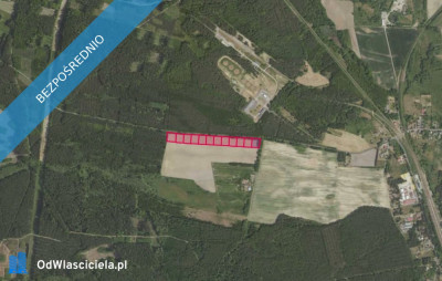 Działki 3125 w miejscowości Grabowno Wielkie - Grabowno Wielkie  -
dolnośląskie Zdjęcie nr 2