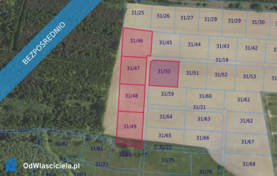 Działki 3146 i inne w miejscowości Grabowno Wielkie - Grabowno Wielkie  - dolnośląskie