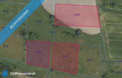 Działki 3168 3170 3179 w miejscowości Grabowno Wielkie - Grabowno Wielkie  - dolnośląskie