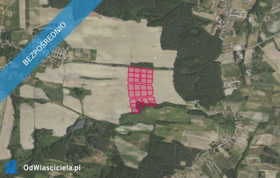 Działki 33699 i inne w miejscowości Grabowno Wielkie - Grabowno Wielkie  -
dolnośląskie Zdjęcie nr 2