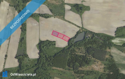 Działki 35635 i inne w miejscowości Grabowno Wielkie - Grabowno Wielkie  -
dolnośląskie Zdjęcie nr 2