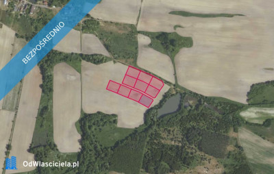 Działki 35612 i inne w miejscowości Grabowno Wielkie - Grabowno Wielkie  -
dolnośląskie Zdjęcie nr 2