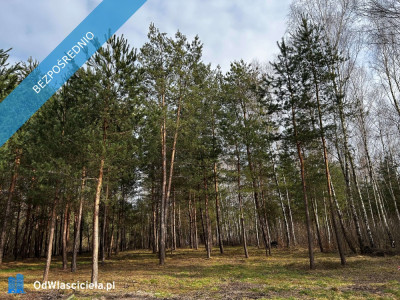 UROKLIWE MIEJSCE BLISKO NATURY  - Rydzów  -
podkarpackie Zdjęcie nr 5