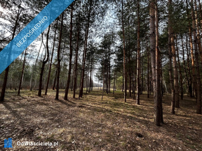 UROKLIWE MIEJSCE BLISKO NATURY  - Rydzów  -
podkarpackie Zdjęcie nr 6