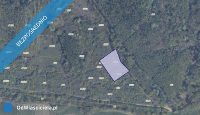 Działka 1116 w Pręgowie Górnym - Pręgowo  -
pomorskie Zdjęcie nr 2