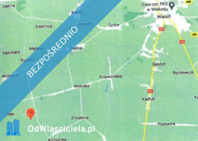 Działka ze złożami surowca ilastego - Złota Góra  -
łódzkie Zdjęcie nr 2