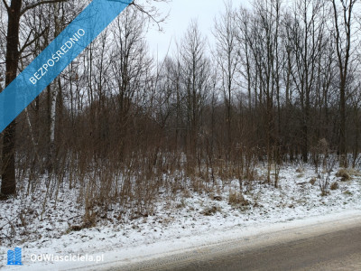 PROMOCJA Dwie działki w cenie jednej Słynny zalew SIELPIA Cisza i spokój szybki dojazd z Warszawy S77 - Przyłogi  -
świętokrzyskie Zdjęcie nr 11