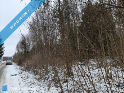 PROMOCJA Dwie działki w cenie jednej Słynny zalew SIELPIA Cisza i spokój szybki dojazd z Warszawy S77 - Przyłogi  -
świętokrzyskie Zdjęcie nr 12