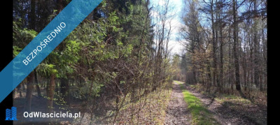 PROMOCJA Dwie działki w cenie jednej Słynny zalew SIELPIA Cisza i spokój szybki dojazd z Warszawy S77 - Przyłogi  -
świętokrzyskie Zdjęcie nr 4