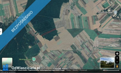 Sprzedam udziały leśne 134 ha Wieprzec Wychody Zamość lubelskie Cena 2299 zł za wszystko - Wychody  - lubelskie