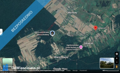 Sprzedam udziały leśne 134 ha Wieprzec Wychody Zamość lubelskie Cena 2299 zł za wszystko - Wychody  -
lubelskie Zdjęcie nr 2