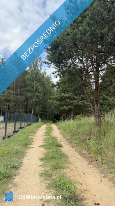 Działka pod zabudowę jednorodzinną w okolicy Ełku - Nowa Wieś Ełcka  -
warmińsko-mazurskie Zdjęcie nr 12