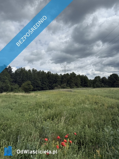 Działka pod zabudowę jednorodzinną w okolicy Ełku - Nowa Wieś Ełcka  -
warmińsko-mazurskie Zdjęcie nr 8