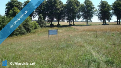 Działka budowlana nad jeziorem Słonowice  możliwość zabudowy 3 domów - Słonowice  -
zachodniopomorskie Zdjęcie nr 4