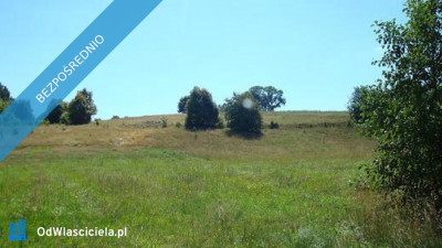 Działka budowlana nad jeziorem Słonowice  możliwość zabudowy 3 domów - Słonowice  -
zachodniopomorskie Zdjęcie nr 7