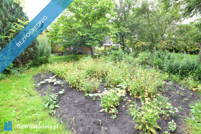 Działka rekreacyjna ROD RAi z domkiem - Targówek  -
mazowieckie Zdjęcie nr 9