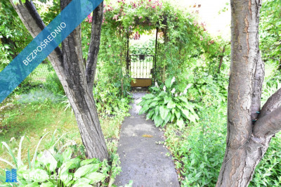 Działka rekreacyjna ROD RAi z domkiem - Targówek  -
mazowieckie Zdjęcie nr 10