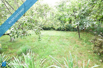 Działka rekreacyjna ROD RAi z domkiem - Targówek  -
mazowieckie Zdjęcie nr 11