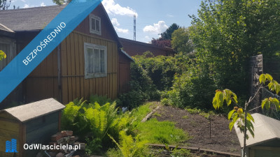 Działka rekreacyjna ROD RAi z domkiem - Targówek  -
mazowieckie Zdjęcie nr 13