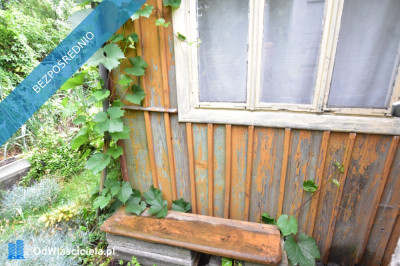 Działka rekreacyjna ROD RAi z domkiem - Targówek  -
mazowieckie Zdjęcie nr 2