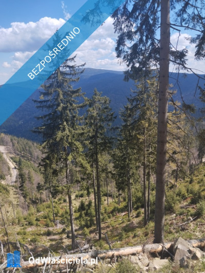 Sprzedam działkę  - Sól  - śląskie