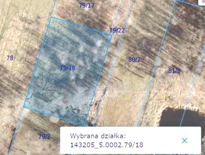 Duża działka w otulinie Kampinosu Dąbrowa  gm Łomianki - Łomianki Dolne  -
mazowieckie Zdjęcie nr 13