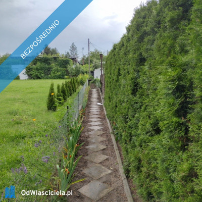 Działka ROD z domkiem 2026  Aleksandrów Kujawski - Aleksandrów Kujawski  - kujawsko-pomorskie