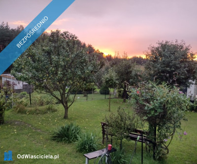 Działka ROD z domkiem 2026  Aleksandrów Kujawski - Aleksandrów Kujawski  -
kujawsko-pomorskie Zdjęcie nr 8