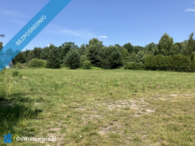 Urokliwa działka Żółwin ul Południowa - Żółwin  -
mazowieckie Zdjęcie nr 2