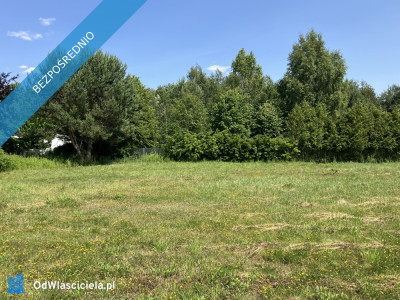 Urokliwa działka Żółwin ul Południowa - Żółwin  -
mazowieckie Zdjęcie nr 7