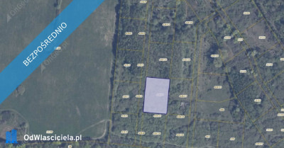 Działka 42614 w miejscowości Pręgowo Górne - Pręgowo  - pomorskie