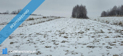 Sprzedam działkę rolną 5800 m  Garlica Murowana gm Zielonki - Garlica Murowana  -
małopolskie Zdjęcie nr 2