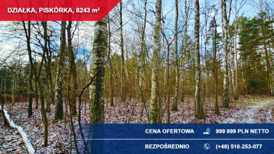 Atrakcyjna działka przy lesie z doskonałym dojazdem  8243 m  Piskórka - Piskórka  -
mazowieckie Zdjęcie nr 6