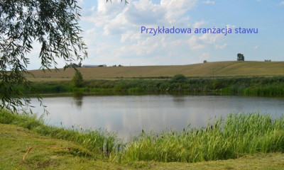 Mini ranczo pośród jezior  Buk Góralski  Pojezierze Brodnickie - Buk Góralski  -
kujawsko-pomorskie Zdjęcie nr 9