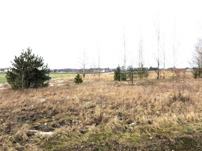 Na sprzedaż działka rolna  70 km od Warszawy  - Boguszków  -
mazowieckie Zdjęcie nr 3