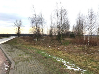 Na sprzedaż działka rolna  70 km od Warszawy  - Boguszków  -
mazowieckie Zdjęcie nr 4