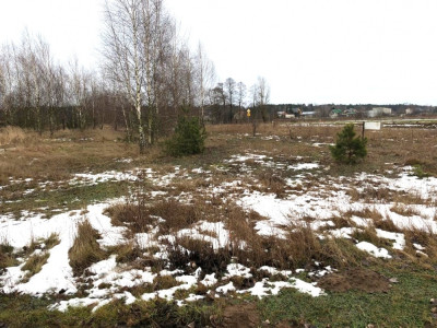 Na sprzedaż działka rolna  70 km od Warszawy  - Boguszków  -
mazowieckie Zdjęcie nr 5