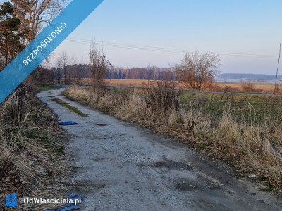 Nieruchomość na sprzedaż - Kamiennik  -
opolskie Zdjęcie nr 2