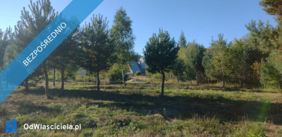 NOWA POGORZEL  MIŃSK MAZOWIECKI DZIAŁKA 1305 M2 - Nowa Pogorzel  - mazowieckie