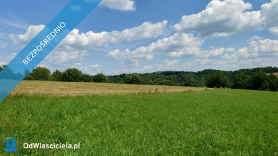 Działka BUDOWLANA Bieszczady Bóbrka k SOLINA - Bóbrka  -
podkarpackie Zdjęcie nr 5