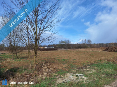 WarszawaBiałołękaul Olesin działka 1500 m2 - Białołęka  -
mazowieckie Zdjęcie nr 2