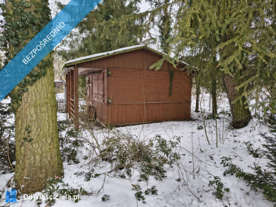 Nieruchomość nad Wisłą - Stare Grochale  -
mazowieckie Zdjęcie nr 10